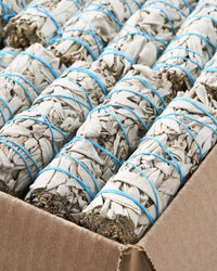 White Sage Smudge Sticks (Set of 20)
