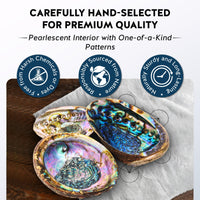 Abalone Shell Incense Dish