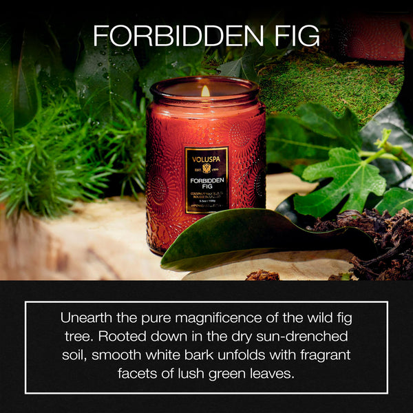 Forbidden Fig Coconut Candle