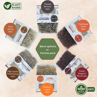 Resin Incense Variety Set