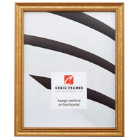 Ornate Gold Picture Frame