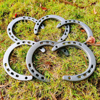 Cast Iron Horseshoes (Set of 12)